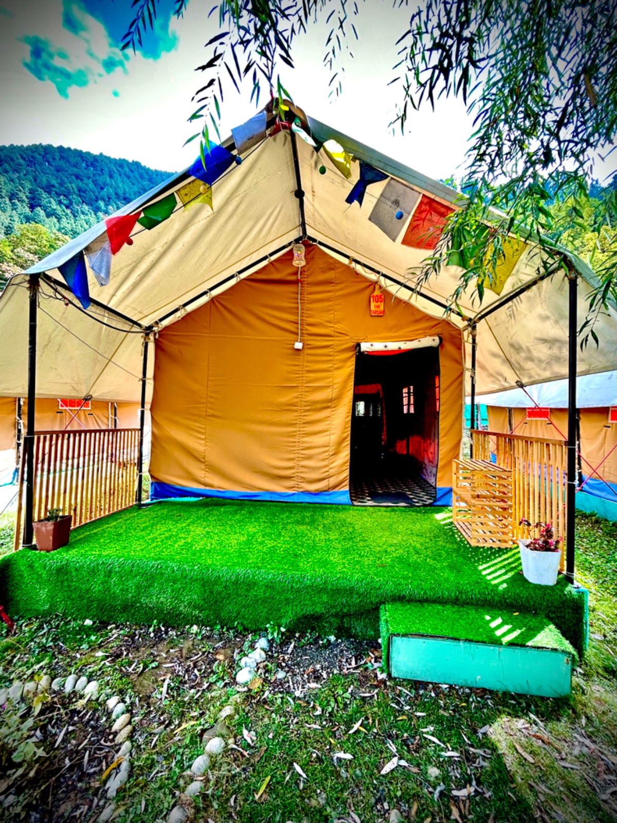 The Posh Camps Kashmir - starlit sky
